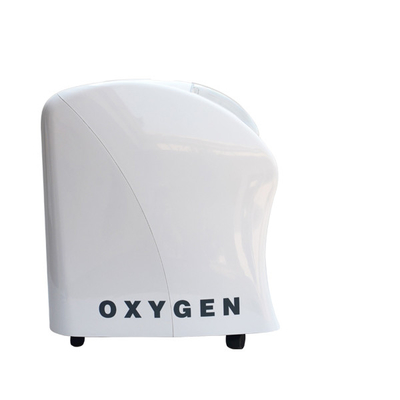 Συμπυκνωτής οξυγόνου εγχώριων αυτοκινήτων ελιών 3L χαμηλής ισχύος κατανάλωση 300 Watt ελαφριά